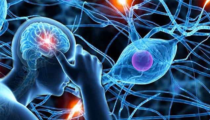 Biến chứng thần kinh của bệnh tiểu đường