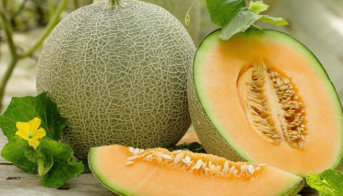 Tiểu đường thai kỳ ăn dưa lưới được không? Có thể ăn