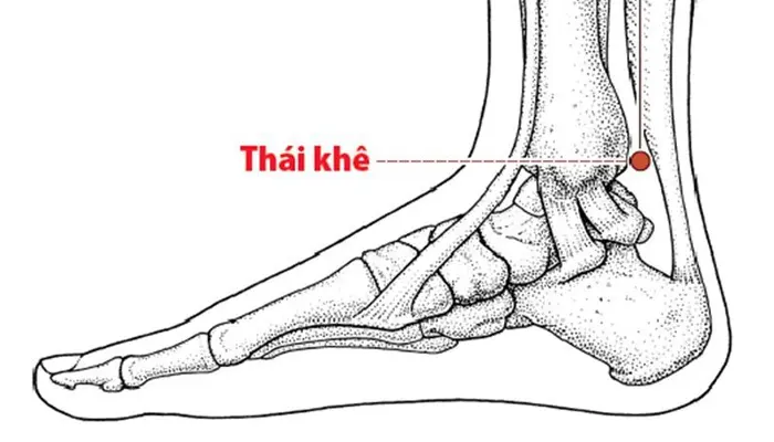 Huyệt Thái khê hỗ trợ cải thiện tiểu đêm, khô miệng