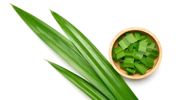 Cây lá dứa trị bệnh tiểu đường với cách dùng dứa tươi