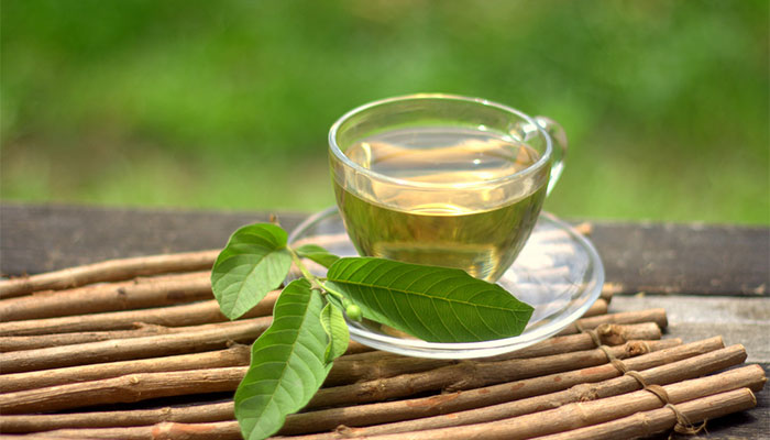 Nước uống lá ổi chữa tiểu đường