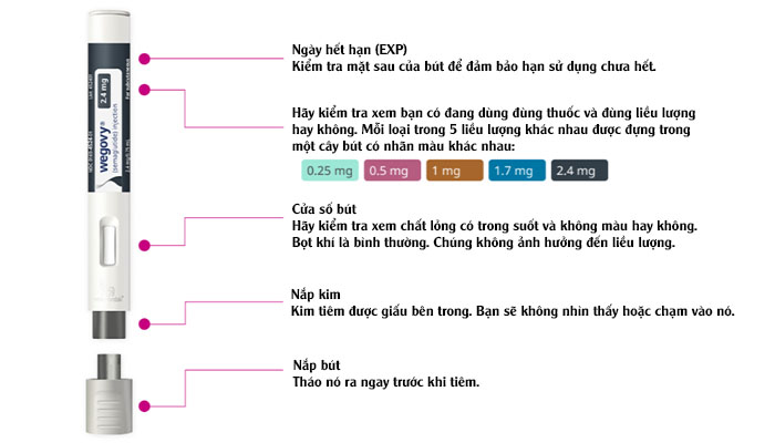Cấu tạo các bộ phận của bút tiêm Wegovy