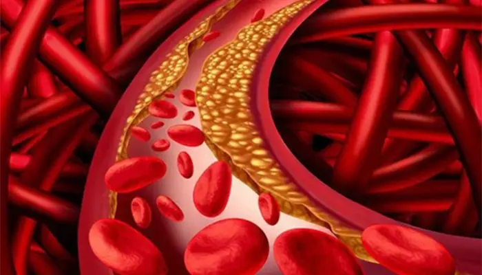 Đường huyết là nguồn năng lượng giúp các tế bào hoạt động