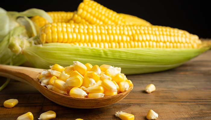 Bắp mang lại nhiều giá trị dinh dưỡng cho phụ nữ mang thai 