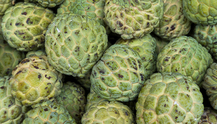 Quả na có hàm lượng dinh dưỡng phong phú