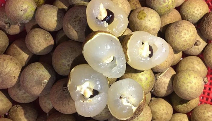 Nhãn có chứa nhiều thành phần dinh dưỡng bổ ích