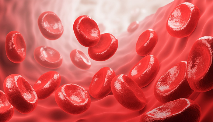 Glucose trong máu là lượng đường huyết có trong máu