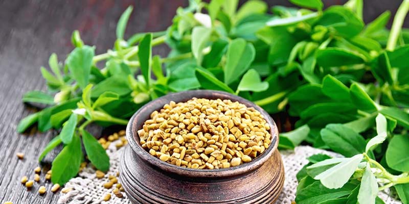 Hạt cà ri mang lại nhiều công dụng