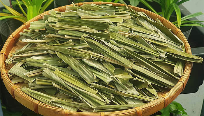 Lá dưa đã được phơi khô