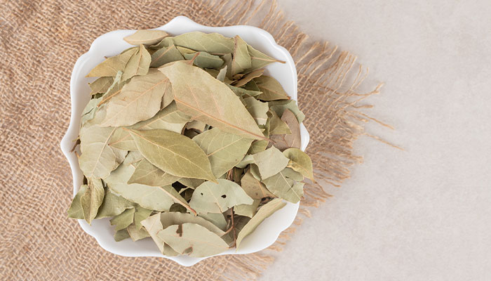 Lá xoài trị bệnh tiểu đường với cách sử dụng lá khô xay bột mịn