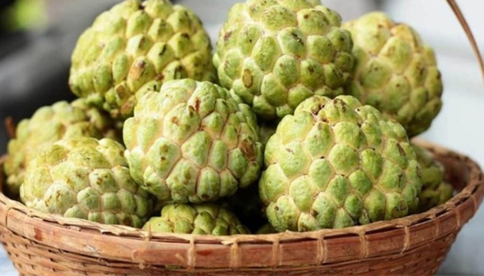 Người bệnh tiểu đường nên chọn quả chín đều, vỏ mềm để tránh gây khó tiêu hóa