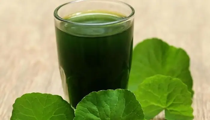Người tiểu đường nên ưu tiên sử dụng rau má tươi, không thêm đường 