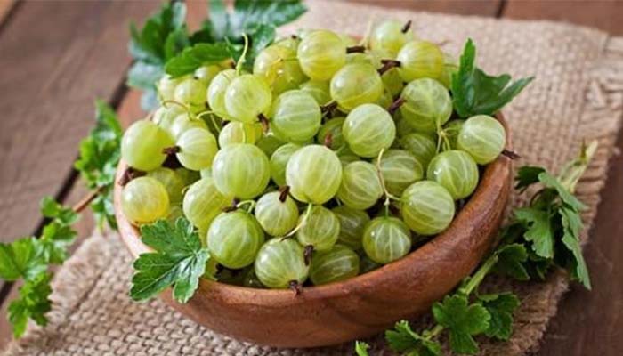 Quả lý gai giúp cân bằng lượng đường trong máu