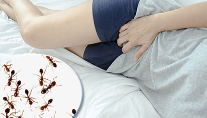 Quần lót bị kiến bu có phải tiểu đường không? Có thể liên quan, không chắc chắn do bệnh gây ra