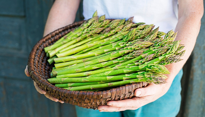 Bệnh tiểu đường nên ăn rau gì? Đó là măng tây