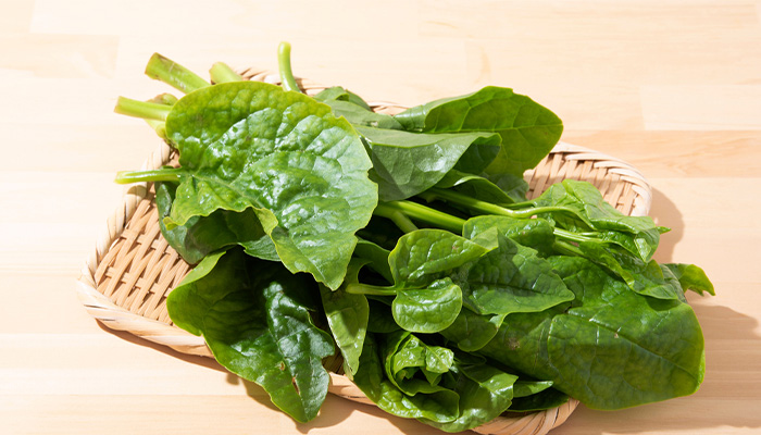 Rau mồng tơi có chứa nhiều dưỡng chất tốt cho sức khỏe