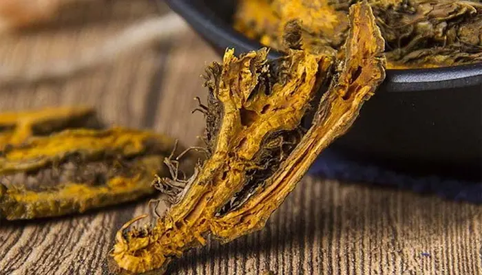 Ngâm rượu gì tốt cho người tiểu đường? Rượu ngâm hoàng liên 