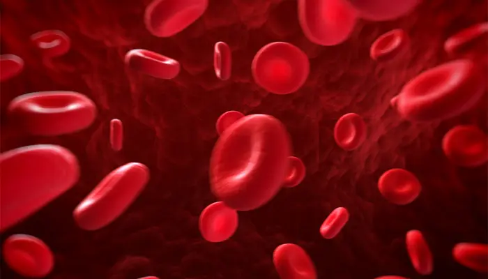 Tăng đường huyết có phải là bị tiểu đường? Tùy vào từng trường hợp gây ra tình trạng này 