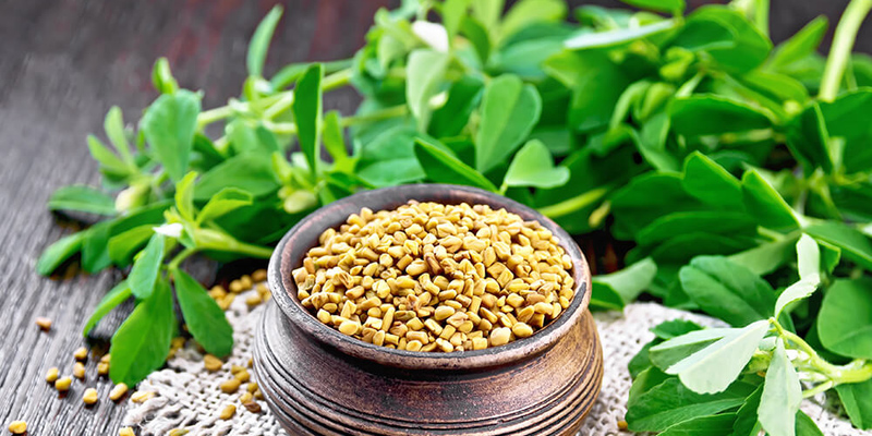 Hạt cà ri mang lại nhiều công dụng