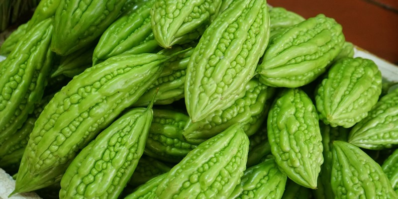 Mướp đắng mang lại nhiều tác dụng tốt cho sức khỏe