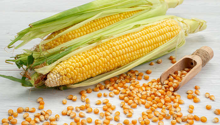 Bệnh tiểu đường có ăn bắp được không? Câu trả lời là có