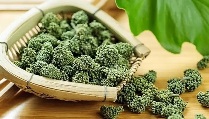 Tiểu đường có uống được nụ tam thất không? Có thể uống được nhưng cần chú ý liều lượng 