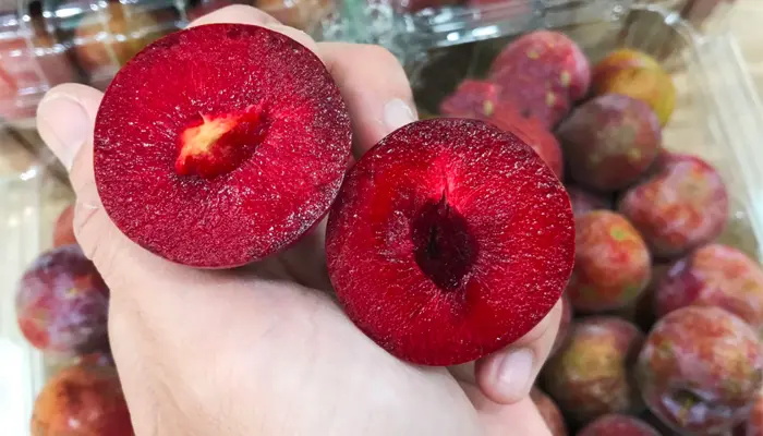 Người tiểu đường chỉ nên khoảng 3-5 quả mận cỡ vừa trong một lần