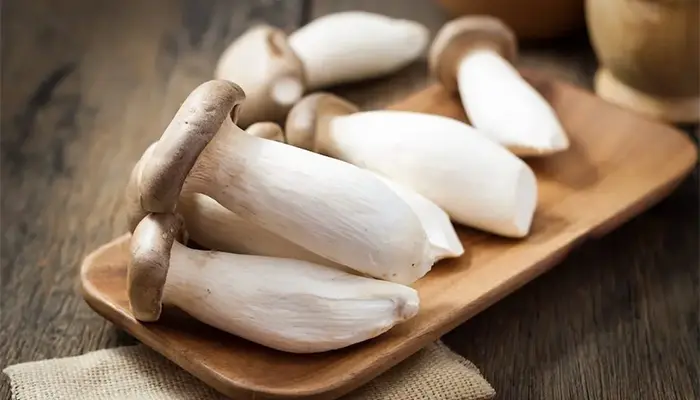Nấm đùi gà phù hợp cho người bệnh tiểu đường 