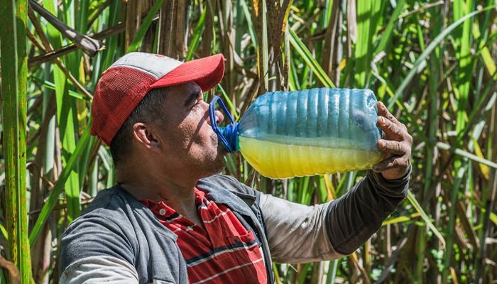 Người có sức khỏe bình thường chỉ nên uống 100-150ml mỗi lần