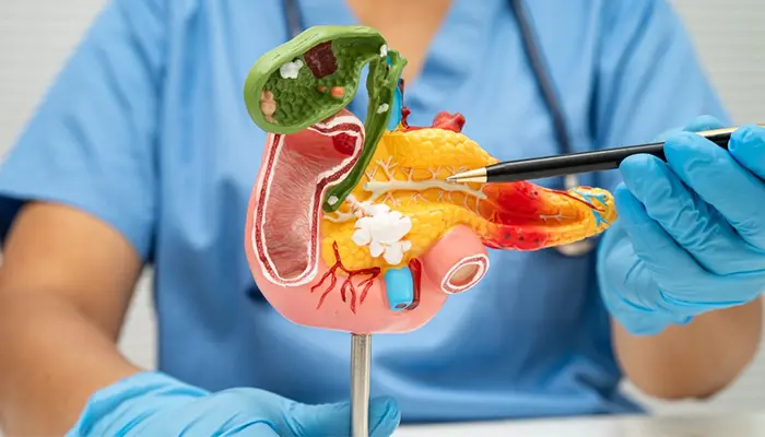 Vai trò của insulin trong cơ thể giúp hỗ trợ đưa glucose vào tế bào 