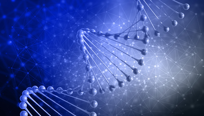 Yếu tố nguy cơ đái tháo đường type 1 di truyền