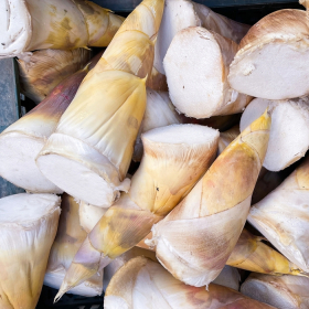 Bệnh tiểu đường có ăn được măng tươi không? Cần lưu ý gì?