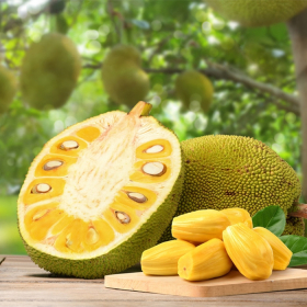 Bệnh tiểu đường có ăn mít được không? Nên kiêng hay dùng vừa phải? Bệnh tiểu đường có ăn mít được không? Nên kiêng hay dùng vừa phải?