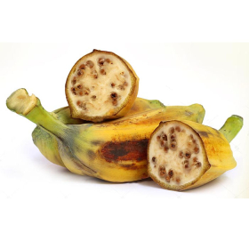 Các bài thuốc dân gian chữa tiểu đường hiệu quả, dễ áp dụng