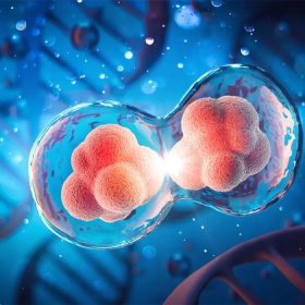 Giải pháp mới trong điều trị tiểu đường bằng tế bào gốc