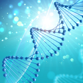 Tiểu đường tuýp 1 có di truyền không? Các yếu tố nguy cơ cần lưu ý  Tiểu đường tuýp 1 có di truyền không? Các yếu tố nguy cơ cần lưu ý