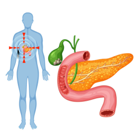Tuyến tụy và bệnh tiểu đường có mối quan hệ ra sao?